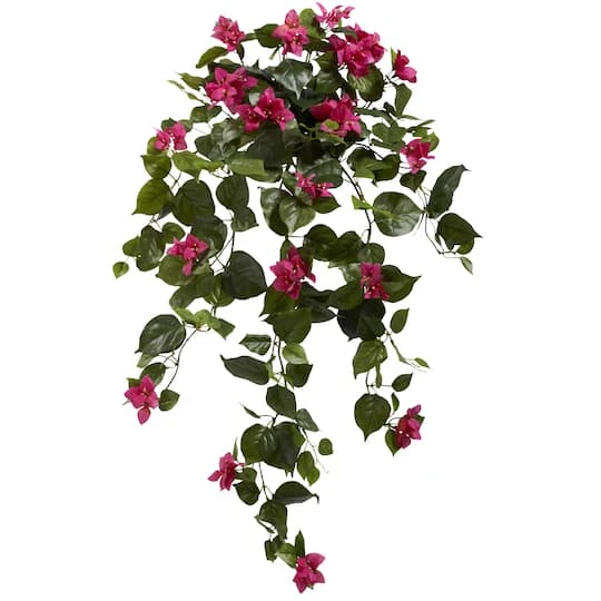 3ft. Bougainvillea Hanging Plant Set 4 3ft. Bougainvillea Hanging Plant Set - Image 2