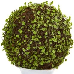 18" Mohlenbechia Ball Topiary In White Urn -Michaels Shop D262858S 12