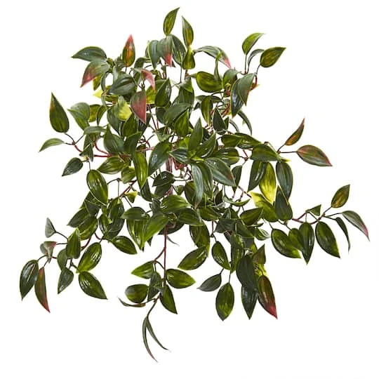 15" Mini Melon Plant, 6ct. 4 15" Mini Melon Plant, 6ct. - Image 2