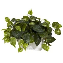 14" Pothos With White Wash Planter 9 14" Pothos With White Wash Planter -Michaels Shop D262867S 12