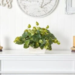 14" Pothos With White Wash Planter 10 14" Pothos With White Wash Planter -Michaels Shop D262867S 13