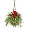 2.5ft. Hibiscus & Spider Plant In Hanging Basket -Michaels Shop D262913S 1
