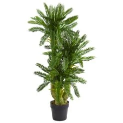 3.5ft. Triple Potted Cycas -Michaels Shop D262925S 1 1