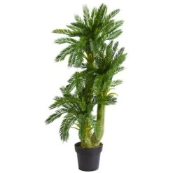 3.5ft. Triple Potted Cycas -Michaels Shop D262925S 2