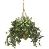 2.5ft. Silver Queen And Ivy Plant In Hanging Basket -Michaels Shop D262939S 11