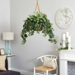 2.5ft. Silver Queen And Ivy Plant In Hanging Basket -Michaels Shop D262939S 12