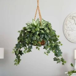 2.5ft. Silver Queen And Ivy Plant In Hanging Basket -Michaels Shop D262939S 13