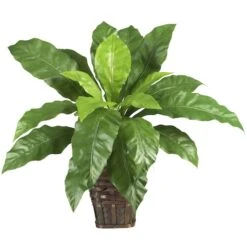 22" Birds Nest Fern With Wicker Basket -Michaels Shop D262947S 11 1