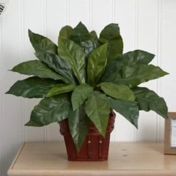 22" Birds Nest Fern With Wicker Basket -Michaels Shop D262947S 13