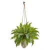 2.5ft. Fern Plant In Hanging Decorative Vase 1 2.5ft. Fern Plant In Hanging Decorative Vase -Michaels Shop D262948S 1