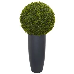 2.5ft. Boxwood Topiary Plant In Gray Cylinder Planter