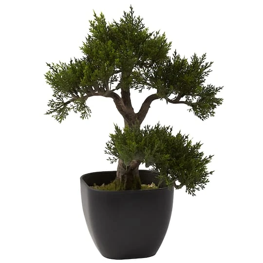 15in. Cedar Bonsai With Black Square Planter 4 15in. Cedar Bonsai With Black Square Planter - Image 2