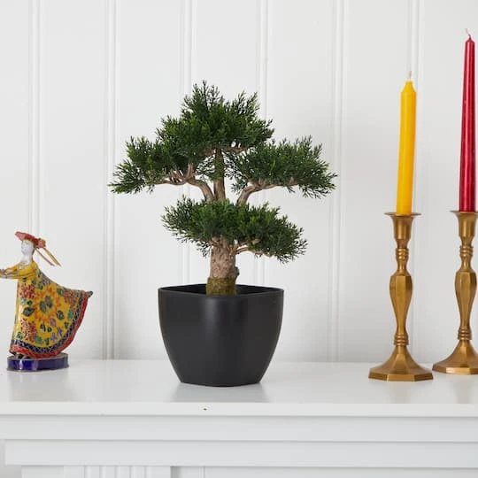 15in. Cedar Bonsai With Black Square Planter 5 15in. Cedar Bonsai With Black Square Planter - Image 3