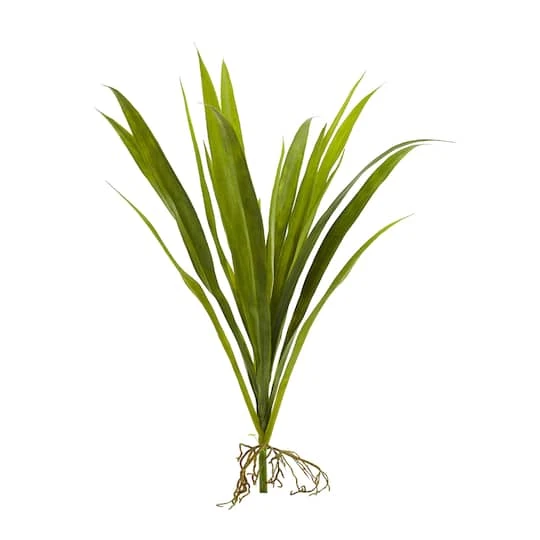 15" Grass Plant, 6ct. 4 15" Grass Plant, 6ct. - Image 2