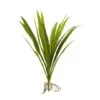 15" Grass Plant, 6ct. 2 15" Grass Plant, 6ct. -Michaels Shop D262962S 1