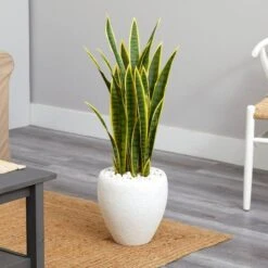 2.5ft. Green & Yellow Snake Plant In White Planter -Michaels Shop D262964S 12