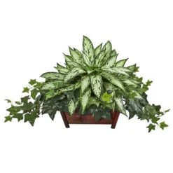 17" Silver Queen & Ivy Plant In Decorative Planter