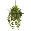 3.5ft Pothos And Boston Fern Hanging Basket -Michaels Shop D262983S 11