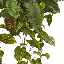 3.5ft Pothos And Boston Fern Hanging Basket -Michaels Shop D262983S 13