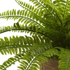 15" Boston Fern With Burlap Planter, 2ct. -Michaels Shop D262984S 12