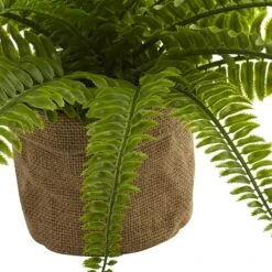 15" Boston Fern With Burlap Planter, 2ct. -Michaels Shop D262984S 13