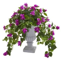 2ft. Purple Bougainvillea In Decorative Urn
