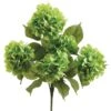 Green Hydrangea Bush