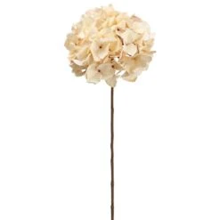Beige Hydrangea Stem -Michaels Shop D264483S 1 1
