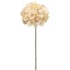 Beige Hydrangea Stem 2 Beige Hydrangea Stem -Michaels Shop D264483S 1