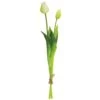 Cream White & Green Tulip Bundle -Michaels Shop D264594S 1