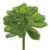 Green Echeveria Pick With Red Detailed Tips -Michaels Shop D265685S 1