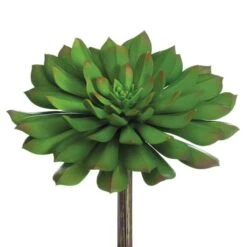 Soft Touch Bright Green Echeveria Pick With Red Tips 5 Soft Touch Bright Green Echeveria Pick With Red Tips -Michaels Shop D265698S 1 1