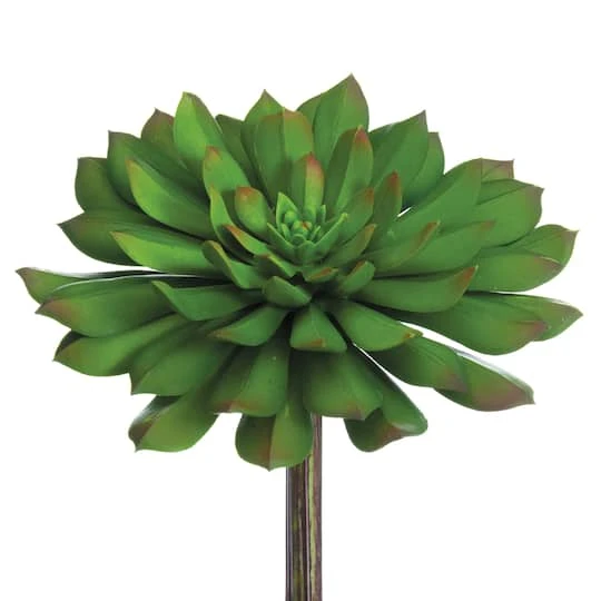 Soft Touch Bright Green Echeveria Pick With Red Tips 3 Soft Touch Bright Green Echeveria Pick With Red Tips