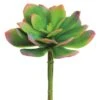 Green & Pink Echeveria Pick -Michaels Shop D265703S 1