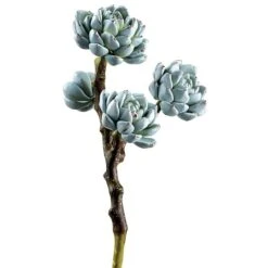 Green & Red Speckled Hen & Chicks Pick