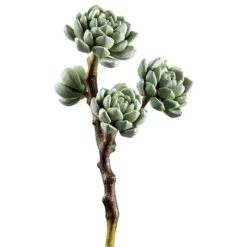 Light Green Hen & Chicks Pick