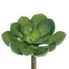 Soft Touch Green Echeveria Pick With Dark Green Tips 2 Soft Touch Green Echeveria Pick With Dark Green Tips -Michaels Shop D265713S 1