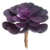 Soft Touch Purple Echeveria Pick -Michaels Shop D265721S 1