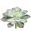 Soft Touch Dark Green & Gray Echeveria Pick -Michaels Shop D265724S 1