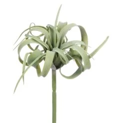 Light Green Gray Tillandsia Pick
