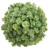 5.5" Green Soft Touch Sedum Orb 2 5.5" Green Soft Touch Sedum Orb -Michaels Shop D265756S 1