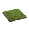Square Moss Sheet, 12" X 12" -Michaels Shop D265773S 1