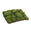 Mood Moss Sheet , 12" X 12" -Michaels Shop D265775S 1