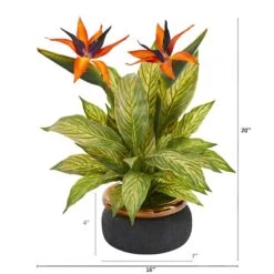 20" Bird Of Paradise And Musa Leaf Arrangement In Stoneware Bowl -Michaels Shop D292540S 12