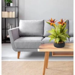 20" Bird Of Paradise And Musa Leaf Arrangement In Stoneware Bowl -Michaels Shop D292540S 13