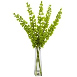 2.5ft. Bells Of Ireland Arrangement In Pyramid Glass Vase