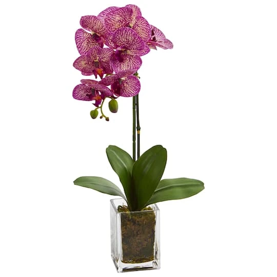 24" Pink Moth Orchid Arrangement In Vase 4 24" Pink Moth Orchid Arrangement In Vase - Image 2