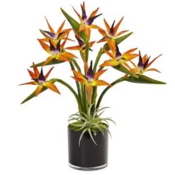 24" Bird Of Paradise Arrangement In Black Glossy Cylinder 8 24" Bird Of Paradise Arrangement In Black Glossy Cylinder -Michaels Shop D292567S 1 1