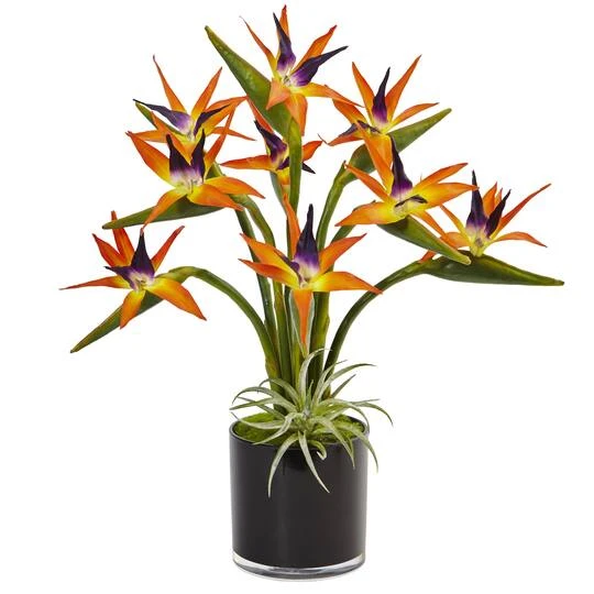 24" Bird Of Paradise Arrangement In Black Glossy Cylinder 4 24" Bird Of Paradise Arrangement In Black Glossy Cylinder - Image 2