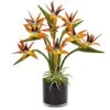 24" Bird Of Paradise Arrangement In Black Glossy Cylinder -Michaels Shop D292567S 1